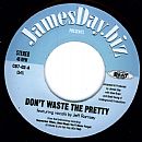 JEFF RAMSEY - Don't Waste The Pretty