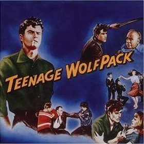 VARIOUS ARTISTS - TEENAGE WOLFPACK auf einer Hegnau Wunschliste / Geschenkidee