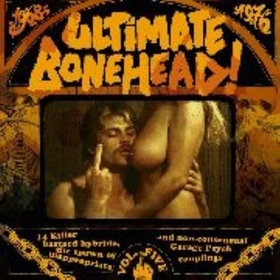 VARIOUS ARTISTS - Ultimate Bonehead! Vol. 5