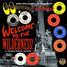 VARIOUS ARTISTS - 60's Forgotten Things - Welcome To The Wilderness!