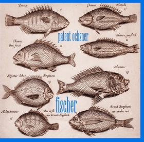 PATENT OCHSNER - Fischer