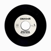 DOGTOOTH BLUES BAND