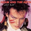 ADAM AND THE ANTS