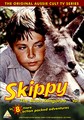 SKIPPY THE BUSH KANGAROO VOL.4  (DVD)