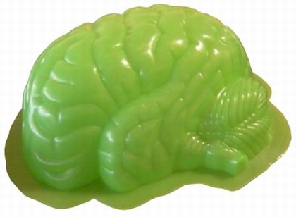 PUDDING GEHIRN FORM ZOMBIE - BRAIN MOLD auf einer Winterthur Wunschliste / Geschenkidee