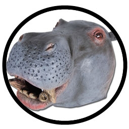 Nilpferd Maske Erwachsene (Flusspferdmaske) - Klicken f�r gr�ssere Ansicht