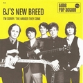 BJ's NEW BREED - I'm Sorry