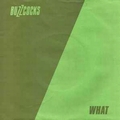 BUZZCOCKS - What Do I Get?