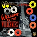 VARIOUS ARTISTS - 60's Forgotten Things - Welcome To The Wilderness!