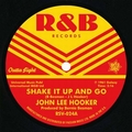 JOHN LEE HOOKER / HERB BIG DADDY ZANE - Shake It Up And Go