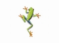 FOTOTAPETE FROSCH VLIES - FROG