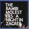  x BAMBI MOLESTERS - A NIGHT IN ZAGREB