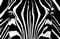  x FOTOTAPETE - RIESENPOSTER - BLACK & WHITE I - ZEBRA