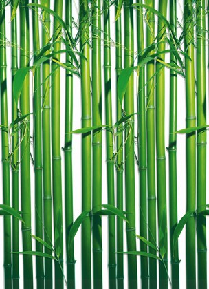 Fototapete -  Bambus - Bamboo Wall 4 part - Klicken f�r gr�ssere Ansicht