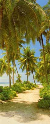 Fototapete - Tahiti - Klicken fr grssere Ansicht
